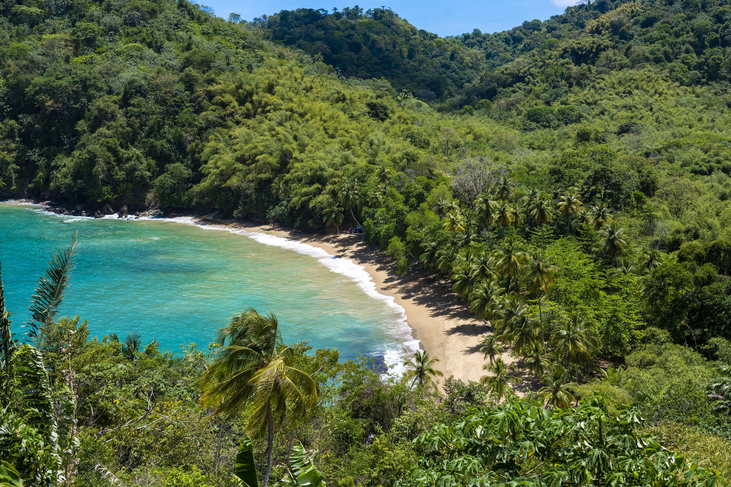 Englishman's Bay near Castara — a secluded beach accessible through Tobago's rainforest